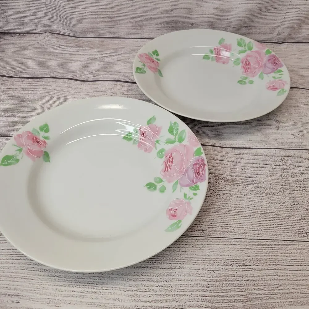 Pier 1 Vintage Rose Jardin Hand Painted China Dinner & Salad Plate Set